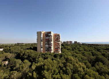 Апартаменты в Валенсии (Коста Бланка), купить недорого - 167 000 [66611] 8