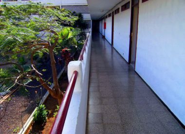 Апартаменты в Коста дель Силенсио (Тенерифе), купить недорого - 78 000 [66643] 2