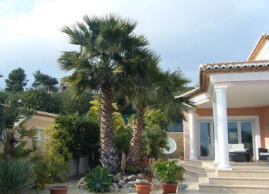 Вилла в Кальпе (Коста Бланка), купить недорого - 795 000 [68969] 5