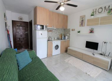 Апартаменты в Ла Мате (Коста Бланка), купить недорого - 39 900 [69899] 6