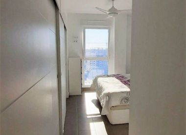 Апартаменты в Аликанте (Коста Бланка), купить недорого - 530 000 [70088] 10