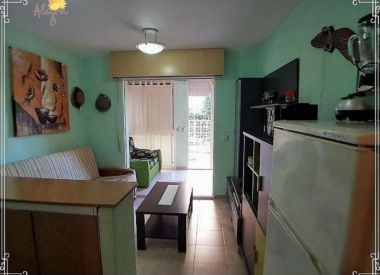 Апартаменты в Ла Мате (Коста Бланка), купить недорого - 44 900 [68506] 5