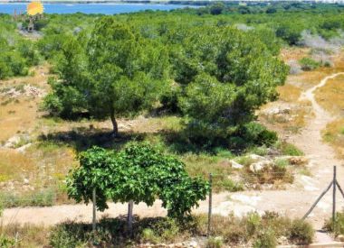 Таунхаус в Торревьехе (Коста Бланка), купить недорого - 72 500 [71804] 9