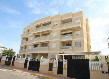 Апартаменты в Торревьехе (Коста Бланка), купить недорого - 96 000 [71779] 1