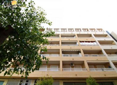 Апартаменты в Торревьехе (Коста Бланка), купить недорого - 97 900 [71762] 1