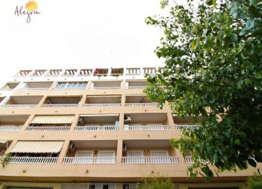 Апартаменты в Торревьехе (Коста Бланка), купить недорого - 97 900 [71762] 3