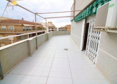 Апартаменты в Торревьехе (Коста Бланка), купить недорого - 139 900 [71756] 2