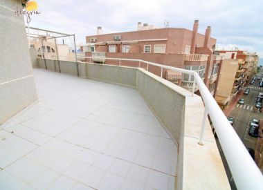Апартаменты в Торревьехе (Коста Бланка), купить недорого - 139 900 [71756] 3