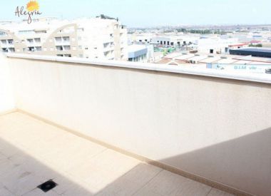 Апартаменты в Торревьехе (Коста Бланка), купить недорого - 76 900 [71692] 1