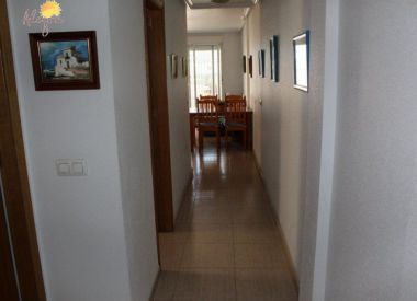 Апартаменты в Торревьехе (Коста Бланка), купить недорого - 76 900 [71692] 5