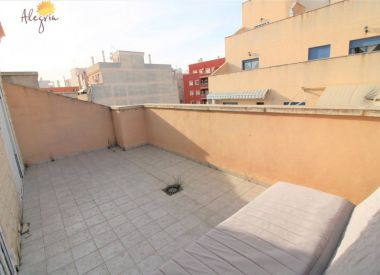 Апартаменты в Торревьехе (Коста Бланка), купить недорого - 58 500 [71688] 5