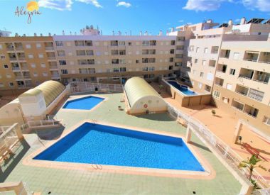 Апартаменты в Торревьехе (Коста Бланка), купить недорого - 69 900 [71672] 2