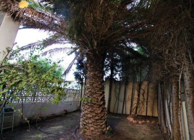 Таунхаус в Торревьехе (Коста Бланка), купить недорого - 67 900 [71659] 10