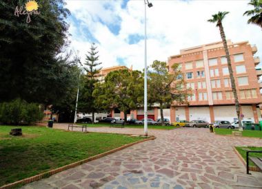 Апартаменты в Торревьехе (Коста Бланка), купить недорого - 68 900 [71628] 4