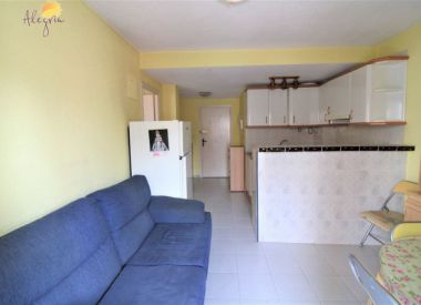 Апартаменты в Торревьехе (Коста Бланка), купить недорого - 57 500 [71570] 6