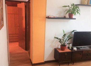 Апартаменты в Аликанте (Коста Бланка), купить недорого - 66 000 [71273] 2