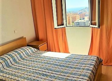 Апартаменты в Аликанте (Коста Бланка), купить недорого - 69 700 [71238] 6