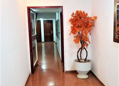 Апартаменты в Аликанте (Коста Бланка), купить недорого - 75 000 [71192] 3