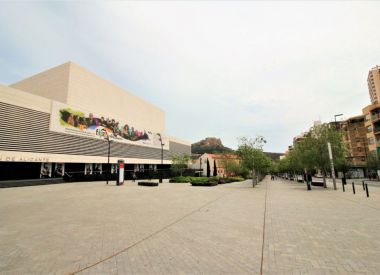 Апартаменты в Аликанте (Коста Бланка), купить недорого - 70 000 [71191] 2