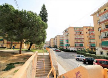 Апартаменты в Аликанте (Коста Бланка), купить недорого - 57 000 [71183] 1
