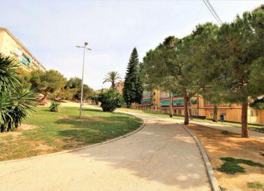 Апартаменты в Аликанте (Коста Бланка), купить недорого - 57 000 [71183] 3