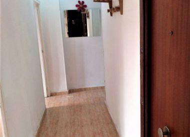 Апартаменты в Аликанте (Коста Бланка), купить недорого - 65 000 [71176] 2