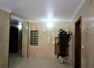 Апартаменты в Аликанте (Коста Бланка), купить недорого - 105 000 [71152] 3