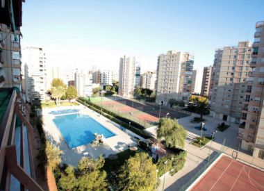 Апартаменты в Аликанте (Коста Бланка), купить недорого - 99 900 [71913] 1