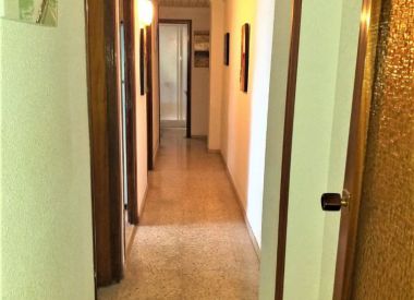 Апартаменты в Аликанте (Коста Бланка), купить недорого - 86 000 [71871] 3