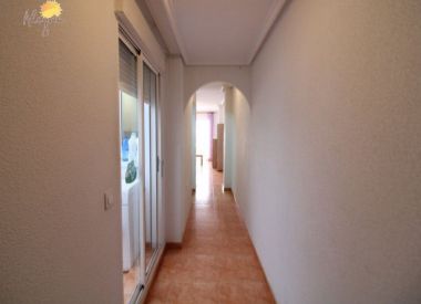 Апартаменты в Торревьехе (Коста Бланка), купить недорого - 78 500 [72295] 9