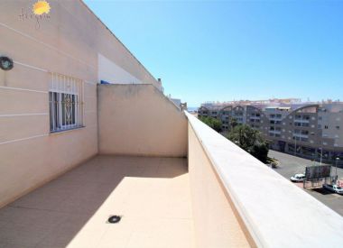 Апартаменты в Торревьехе (Коста Бланка), купить недорого - 76 900 [72294] 3