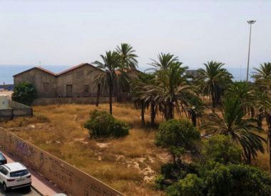 Апартаменты в Торревьехе (Коста Бланка), купить недорого - 88 900 [72277] 7