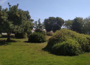 Таунхаус в Торревьехе (Коста Бланка), купить недорого - 85 000 [72255] 4
