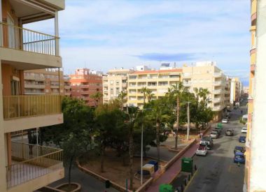 Апартаменты в Торревьехе (Коста Бланка), купить недорого - 76 900 [72145] 1