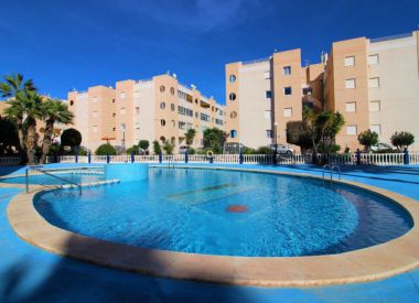 Апартаменты в Торревьехе (Коста Бланка), купить недорого - 70 900 [72117] 1