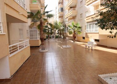 Апартаменты в Торревьехе (Коста Бланка), купить недорого - 103 000 [72084] 1
