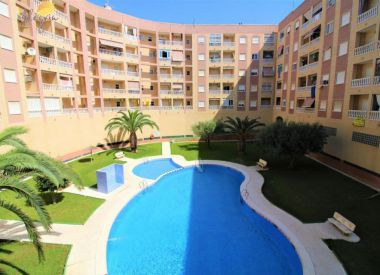 Апартаменты в Торревьехе (Коста Бланка), купить недорого - 67 900 [72807] 2