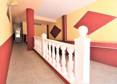 Апартаменты в Торревьехе (Коста Бланка), купить недорого - 61 900 [72800] 3