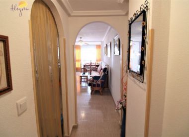 Апартаменты в Торревьехе (Коста Бланка), купить недорого - 61 500 [72790] 10