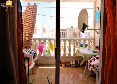 Апартаменты в Торревьехе (Коста Бланка), купить недорого - 59 900 [72781] 6