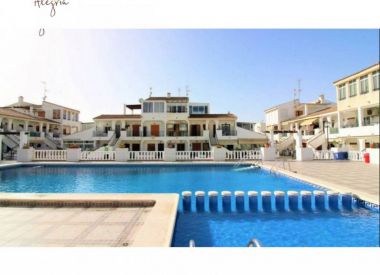 Апартаменты в Торревьехе (Коста Бланка), купить недорого - 70 500 [72779] 2