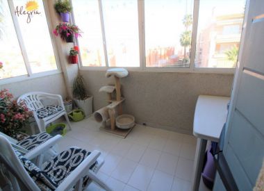 Апартаменты в Торревьехе (Коста Бланка), купить недорого - 77 900 [72760] 10