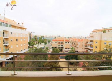 Апартаменты в Торревьехе (Коста Бланка), купить недорого - 84 900 [72737] 7