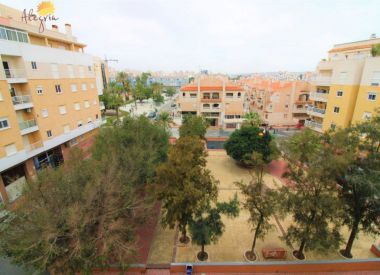 Апартаменты в Торревьехе (Коста Бланка), купить недорого - 84 900 [72737] 8