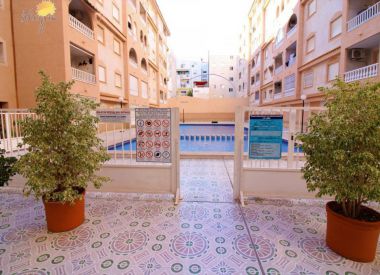 Апартаменты в Торревьехе (Коста Бланка), купить недорого - 69 900 [72730] 1