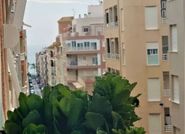Апартаменты в Торревьехе (Коста Бланка), купить недорого - 97 900 [72694] 10