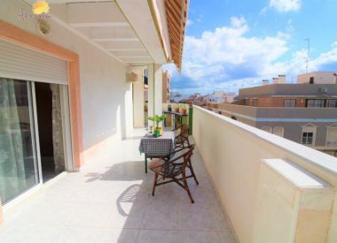 Апартаменты в Торревьехе (Коста Бланка), купить недорого - 129 900 [72661] 1