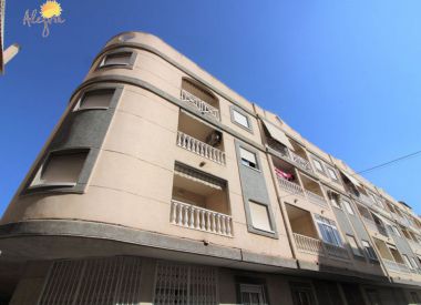 Апартаменты в Торревьехе (Коста Бланка), купить недорого - 62 900 [72651] 2