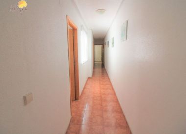 Апартаменты в Торревьехе (Коста Бланка), купить недорого - 63 900 [72648] 2