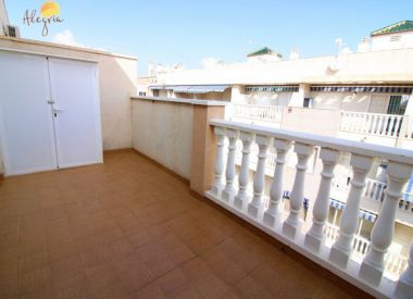 Апартаменты в Торревьехе (Коста Бланка), купить недорого - 69 900 [72635] 10
